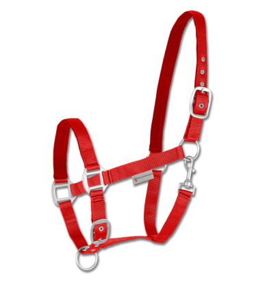 Licol Satin - WALDHAUSEN