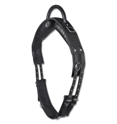 Surfaix de voltige...