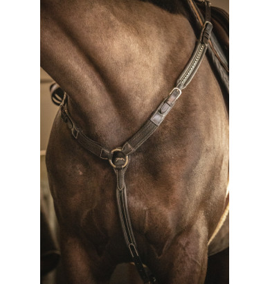 Martin Collier - PENELOPE