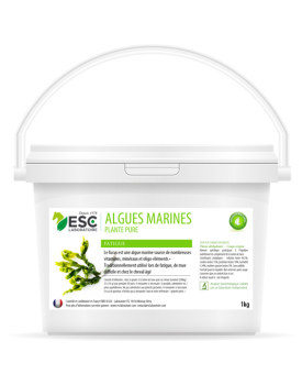 Algues marines - ESC