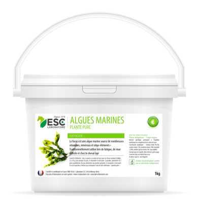 Algues marines - ESC