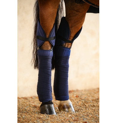 Cavaletti Protèges Jarrets...