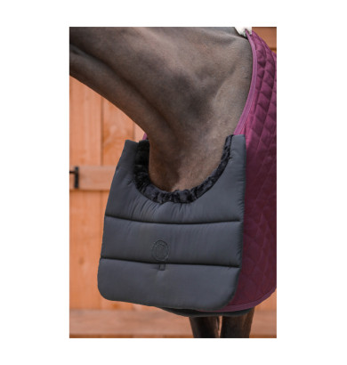 Gala Protège poitrail Rider