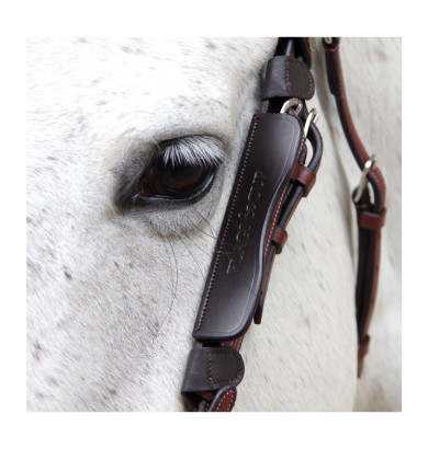 Oeillères - FLAGS & CUP