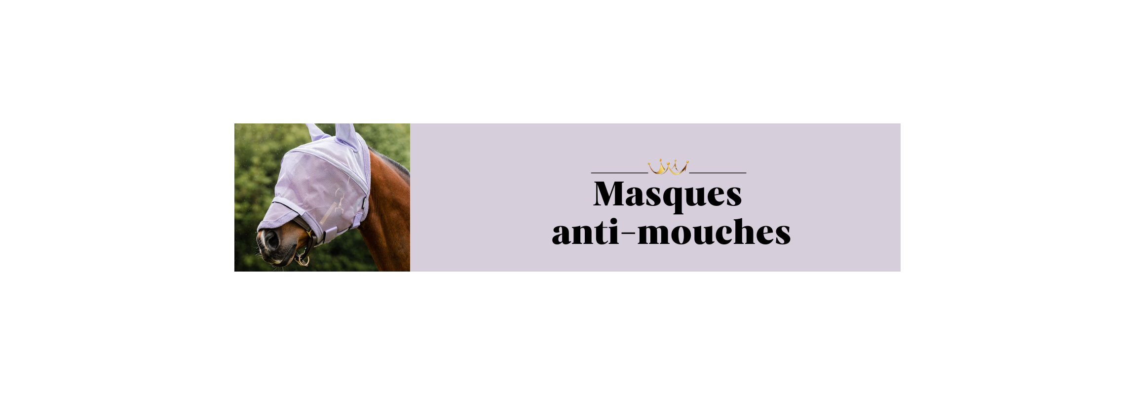 Masque Anti-mouches Pour Cheval Professional's Choice – Maille Bleue, Taille M, Avec Cache-oreilles